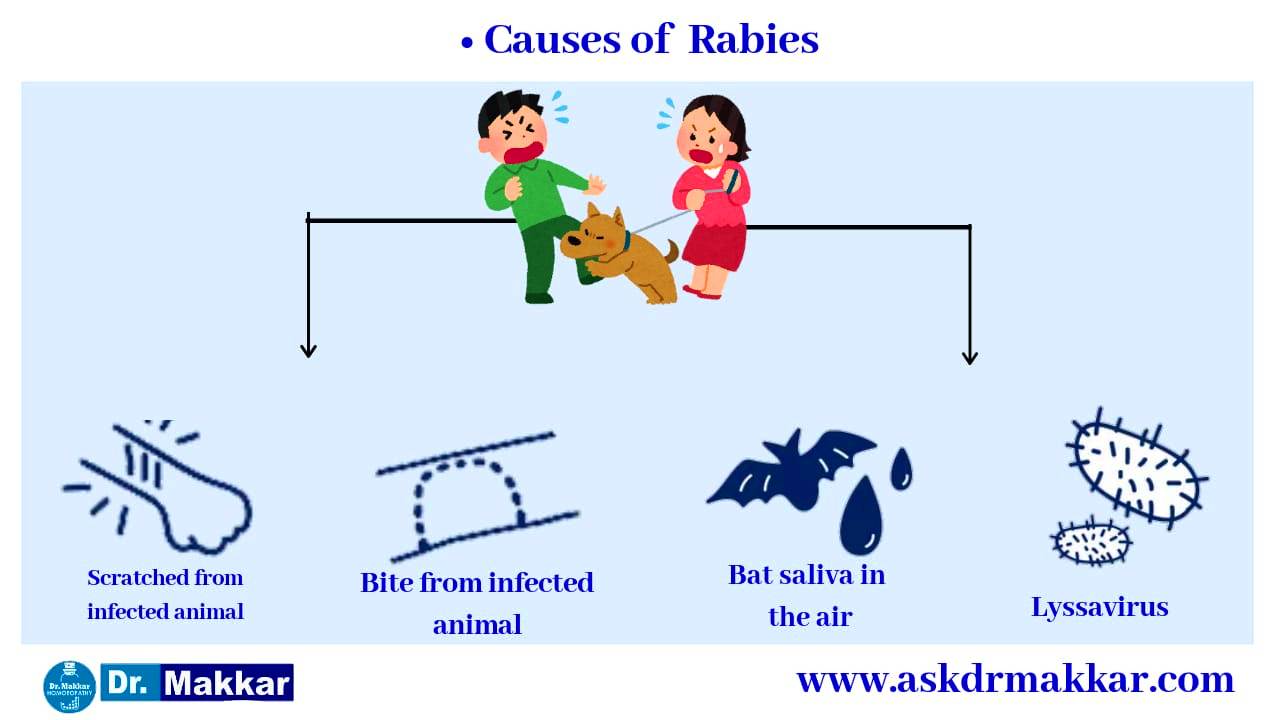 homeopathy-treatment-for-rabies-homeopathic-medicine-approach-cause